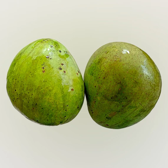 Malgoba Mango